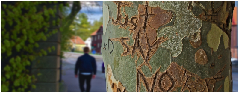 Lemnul - o promovare naturală